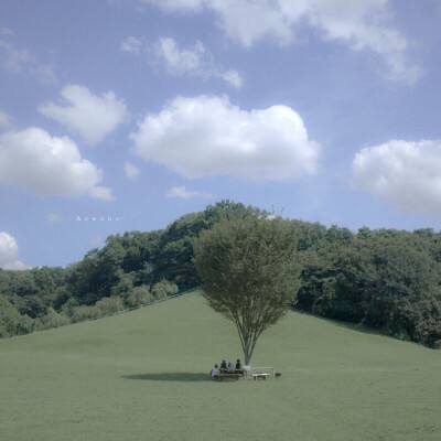 开云·体育(kaiyun)app下载