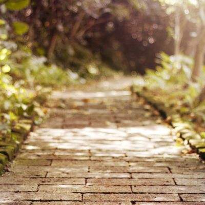 乐鱼app官网正式版下载app下载